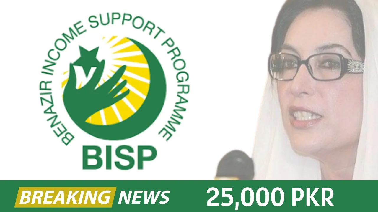 8171 BISP Payment Update Online